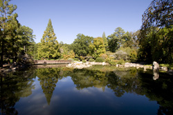 Birmingham Botanical Gardens