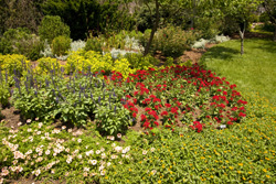 Cheekwood